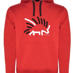 Sudadera Colegio Askartza Isusi