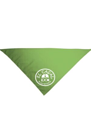 Pañuelo Gala Triangular Verde Manzana